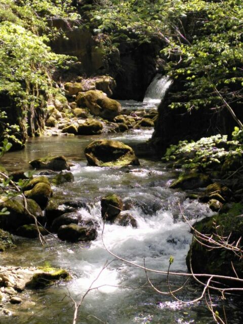 Rivière de Vicdessos